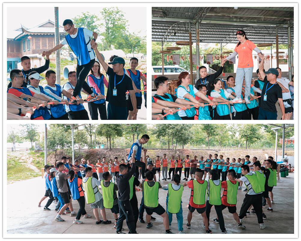 團隊動(dòng)力圈 團隊動(dòng)力圈