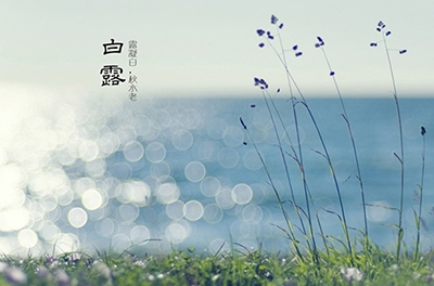 白露降，秋意濃