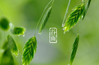 谷雨，播種希望