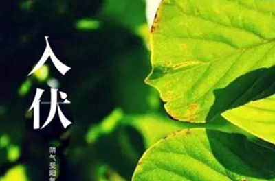 入伏在即，酷暑將至