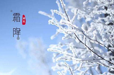 葉落草枯，秋晚凝霜