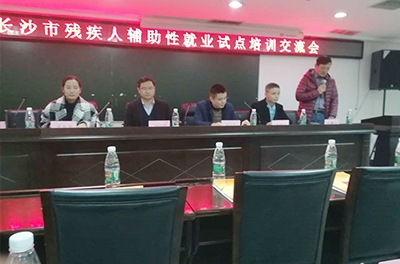 銀河電氣參加2017年長(cháng)沙市殘疾人輔助性就業(yè)試點(diǎn)培訓交流會(huì )
